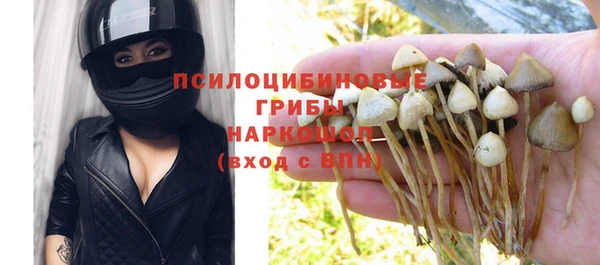 прущая мука Арсеньев