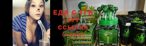 крисы Армянск