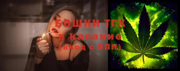 прущая мука Арсеньев