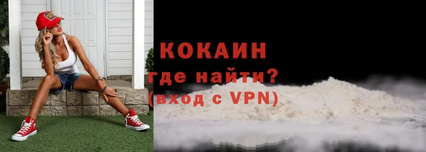 крисы Армянск