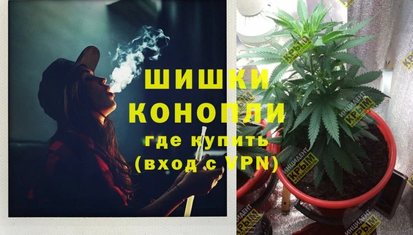 гидропоника Аркадак