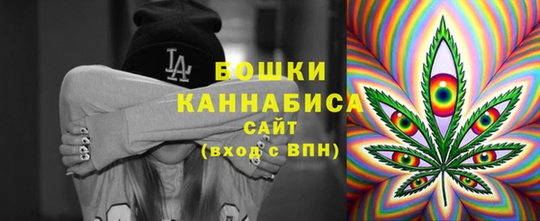крисы Армянск